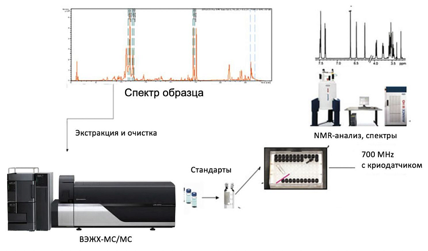 Разработка подходов к диагностике и терапии хронических неинфекционных заболеваний с использованием методов метаболомики и машинного обучения